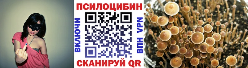 Купить  Нальчик  Псилоцибиновые грибы прущие грибы 